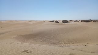 GC-Mirador Dunas de Maspalomas 2026-22.jpg